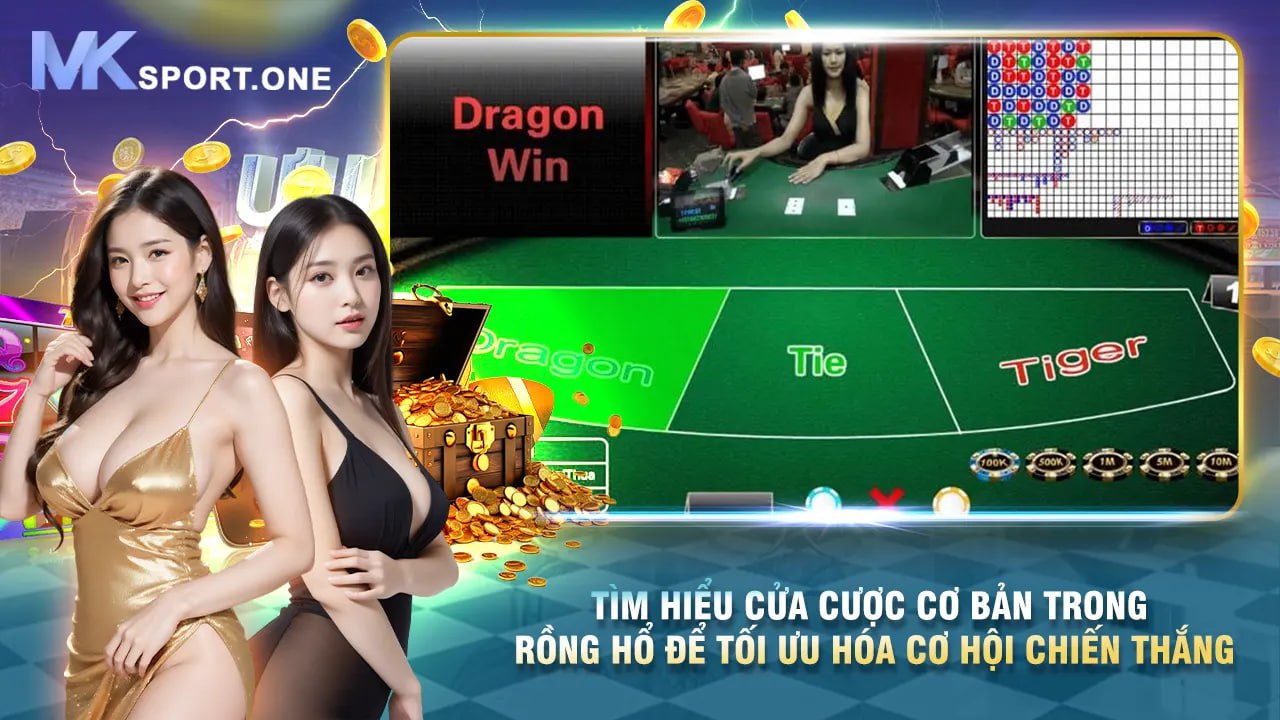 Tìm hiểu các cửa cược trong game rồng hổ