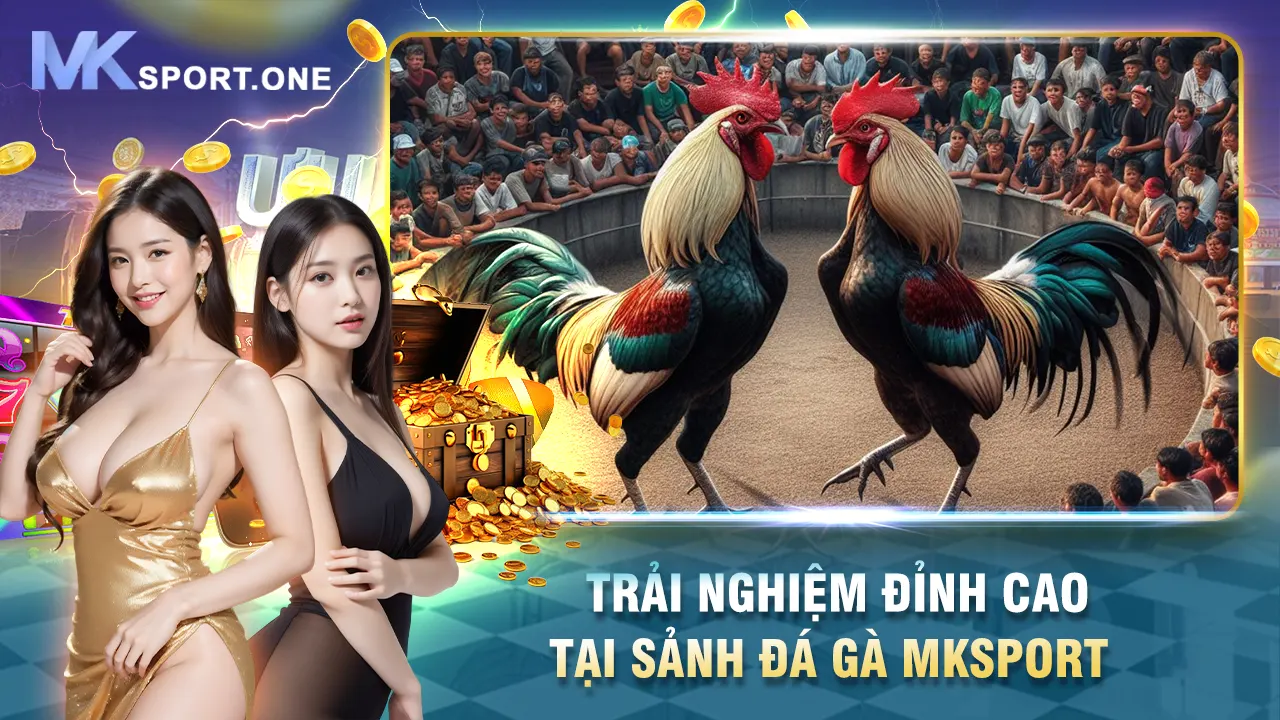 Trải nghiệm đỉnh cao tại sảnh đá gà mksports